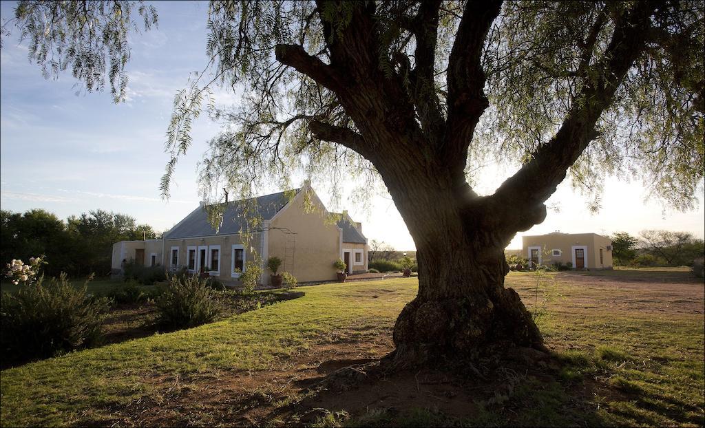 Rietfontein Ostrich Palace Vleirivier Exteriér fotografie