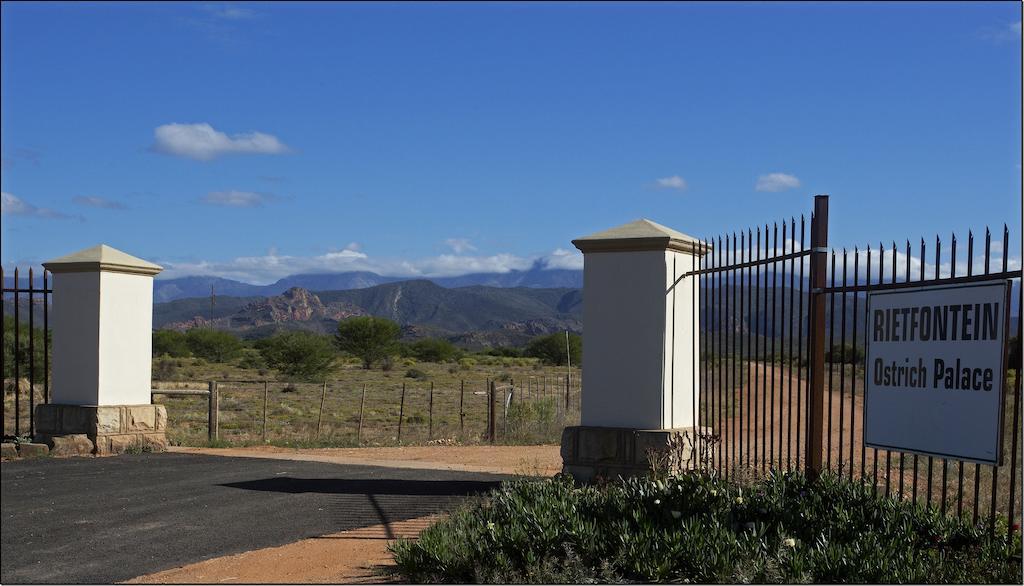 Rietfontein Ostrich Palace Vleirivier Exteriér fotografie